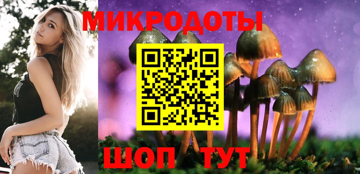 Галлюциногенные грибы MAGIC MUSHROOMS  Вход с VPN  Псилоцибиновые грибы MAGIC MUSHROOMS  Камень-на-Оби 