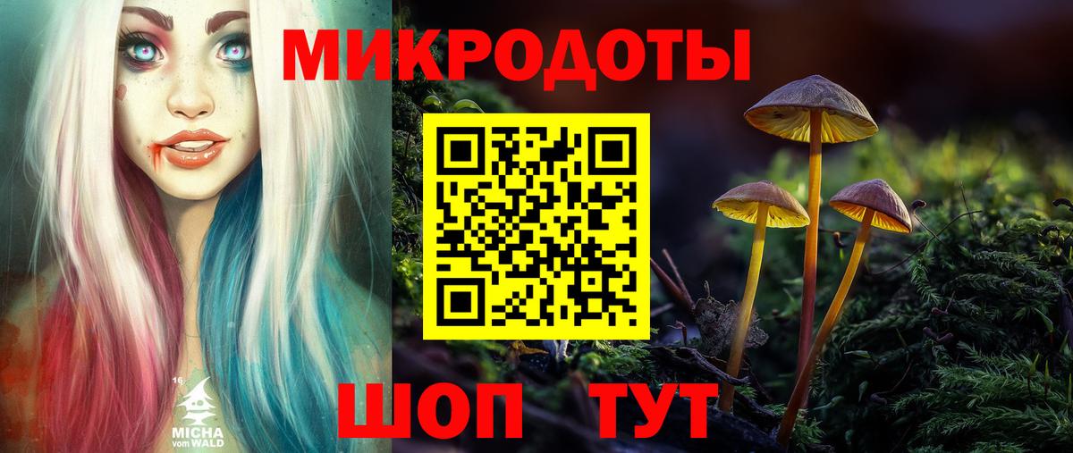 Псилоцибиновые грибы Cubensis Камень-на-Оби